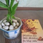 Dikatakan atau Tidak Dikatakan, itu Tetap Cinta