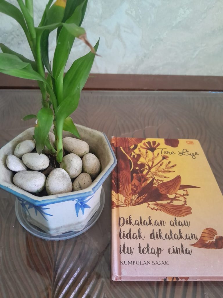 Babu (Baca Buku): Leyeh-Leyeh Bersama Tere Liye